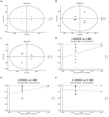 Effect of feeding a dried distillers’ grains with solubles diet on the metabolism of the intestinal wall in Guanling crossbred cattle: a preliminary assessment